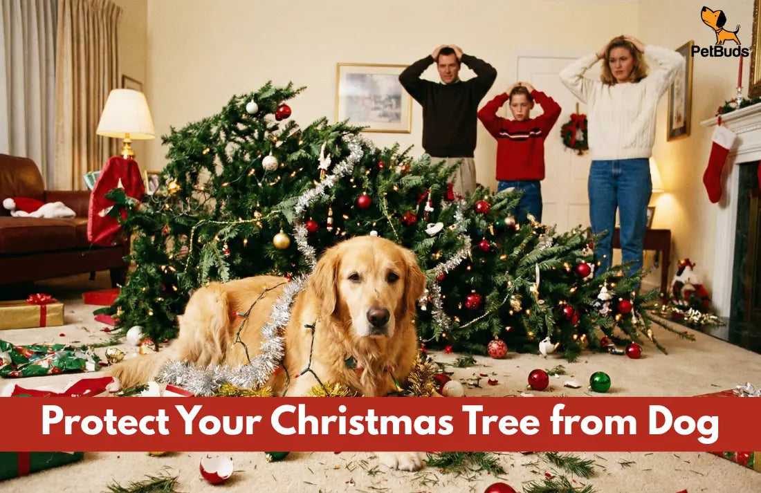 Dog Proof Christmas Tree Tips | Keep Dogs Safe This Christmas – PetBuds