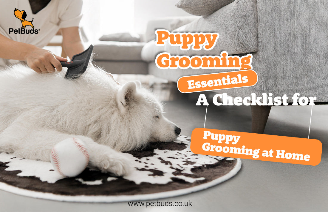 Illustration of Safe Puppy Grooming Techniques