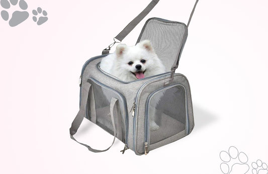 Traveling with Pet: Essential Tips and Accessories for Pets