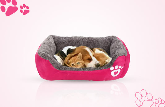 Choosing the Right Dog Bed: Finding the Perfect Spot for Snoozing
