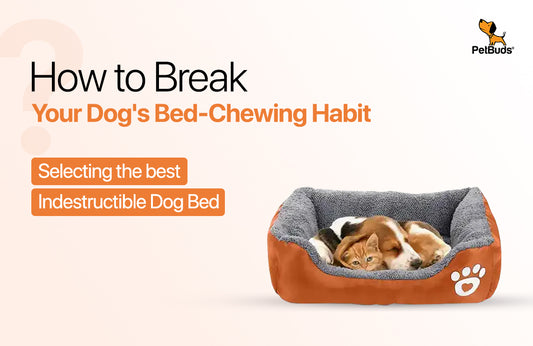 Indestructible Dog Beds: Break Your Dog's Bed-Chewing Habit