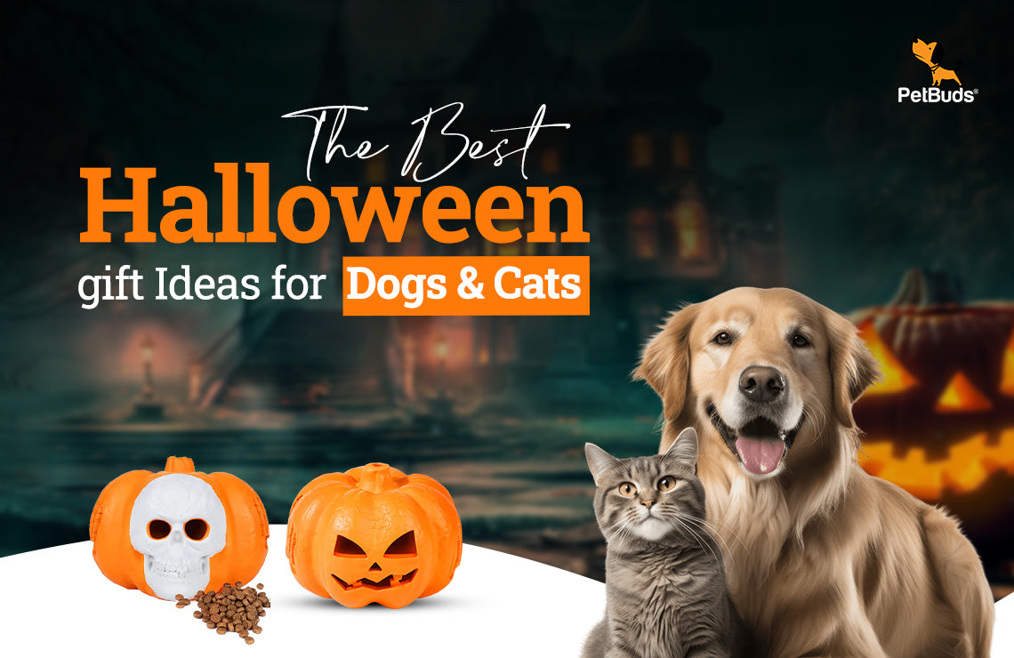Halloween 2024 Best Gifts & Dog Toys Ideas to make it extra special