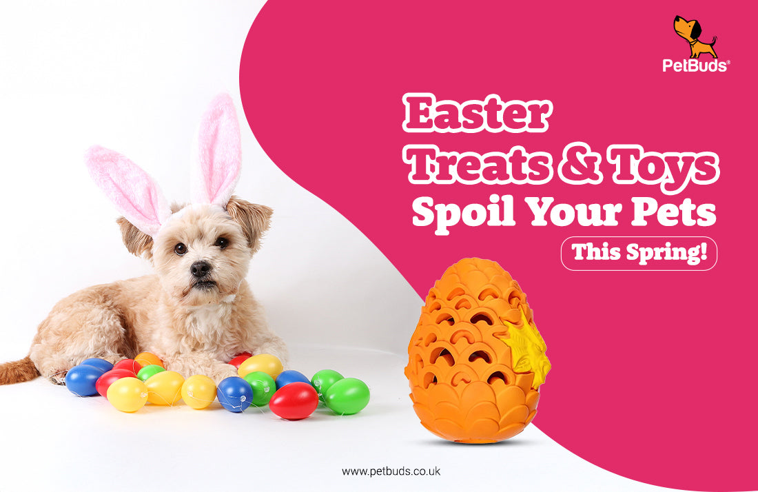Easter Treats for Dogs: Tasty Snacks & Fun Toys