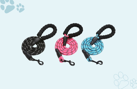 The Retractable Dog Leashes: A Comprehensive Guide for Responsible Dog Owners