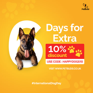 International Dog Day | Dog Toys | Dog Beds | Dog Harness | Dog Leash | Dog Accessories