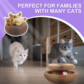Magic Organ Cat Scratching Board | Cat Bed Interactive Scratcher Cat Toy