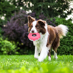 PetBuds Indestructible Dog Toys Doughnut Shape | Donut Dog Toy UK