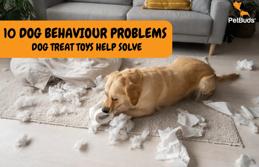 10 Dog Behaviour Problems That Dog Treat Toys Help Solve
