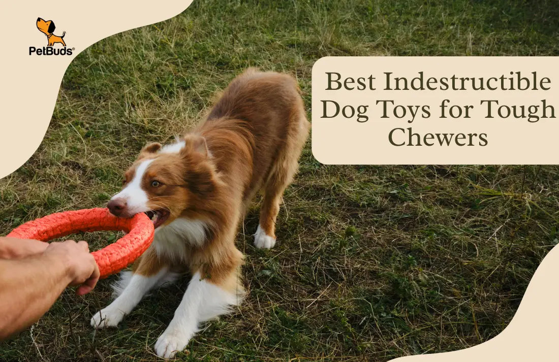 best-indestructible-dog-toys