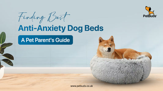 Pet Parents' Guide to Finding the Best Anti-Anxiety Dog Beds UK