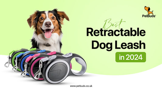 This Retractable Dog Leash will change your life in 2024