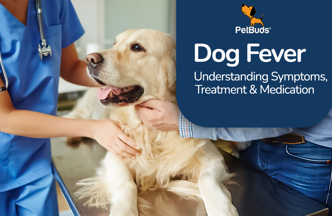 Dog Fever Understanding Symptoms, Treatment & Medication