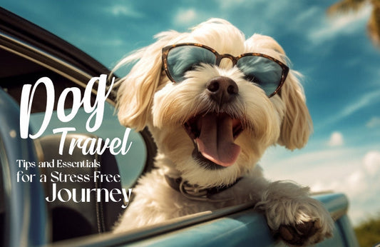 Dog Travel Tips and Essentials for a Stress-Free Journey