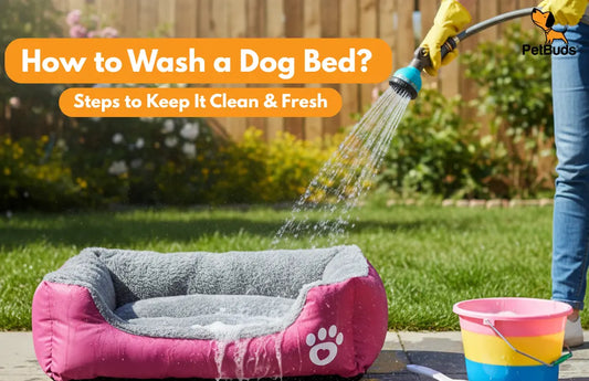 How to Wash a Dog Bed Easy Steps to Keep It Clean & Fresh