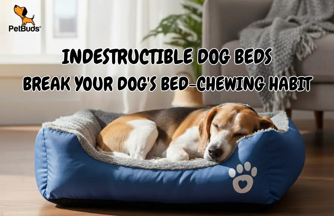 Indestructible Dog Beds Break Your Dog's Bed-Chewing Habit - Petbuds