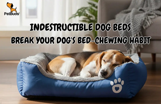 Indestructible Dog Beds Break Your Dog's Bed-Chewing Habit - Petbuds