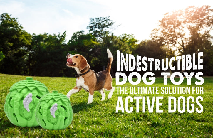 Indestructible Dog Toys The Ultimate Solution for Active Dogs