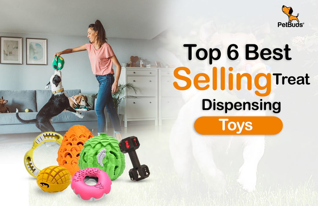 PetBuds Top 6 Best Selling Treat Dispensing Toys 