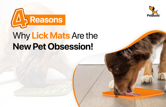 4 Reasons Why Lick Mats Are the New Pet Obsession!