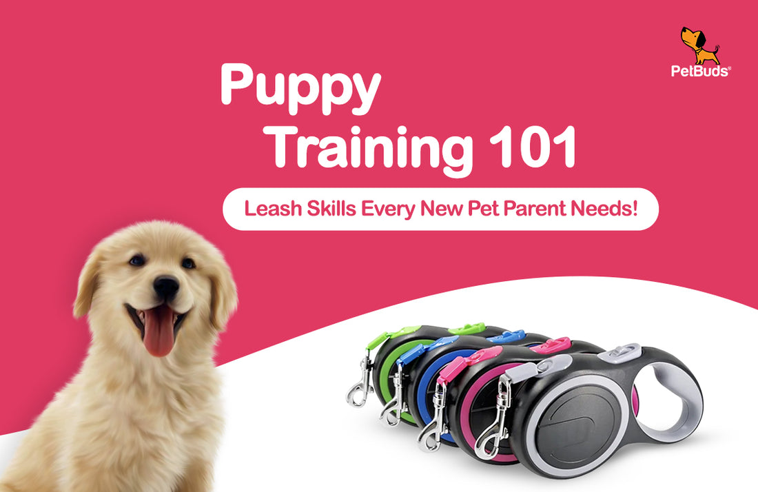 Puppy Training 101: Leash Skills Every New Pet Parent Needs!