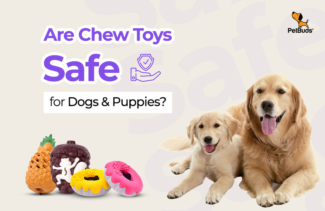 What They Don’t Tell You About Dog Chew Toys: Safety First!