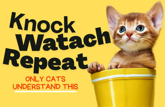 Cat knocking items off table in playful behavior