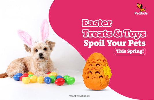 Easter Treats for Dogs: Tasty Snacks & Fun Toys