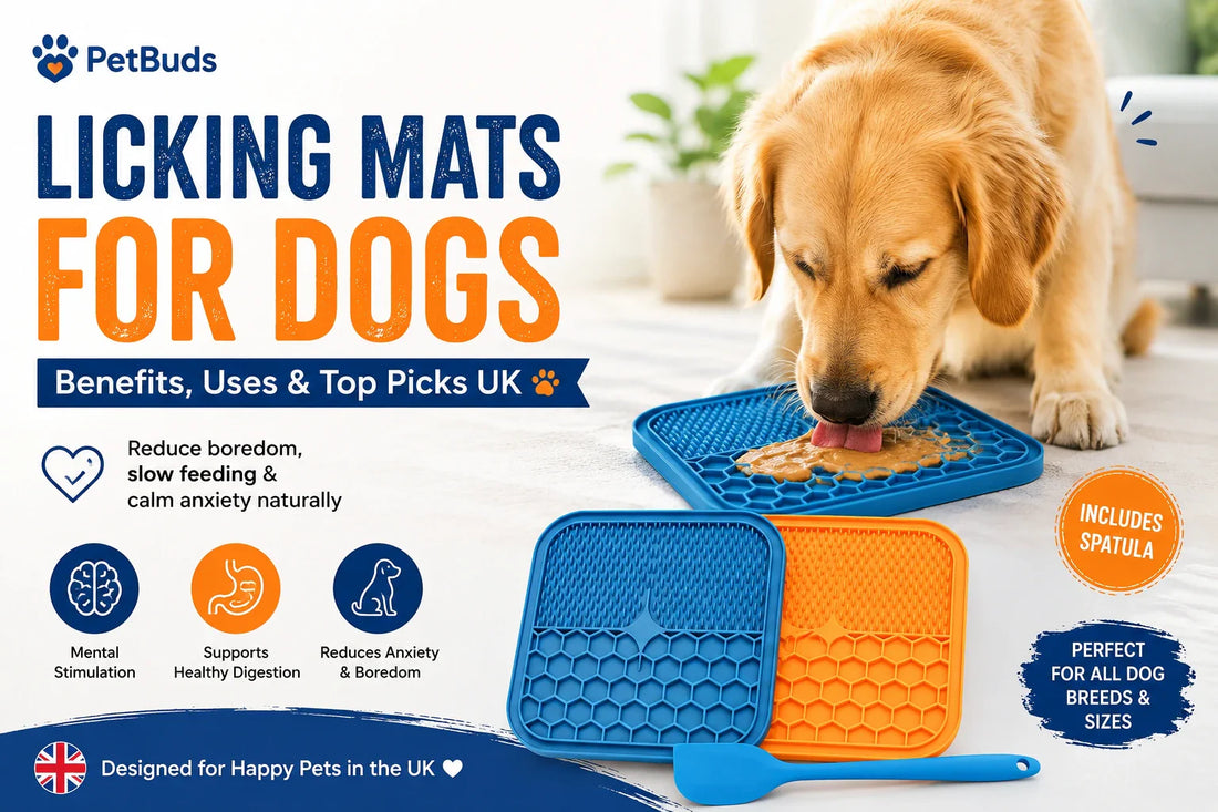 Licking Mats for Dogs: Benefits, Uses & Top Picks UK