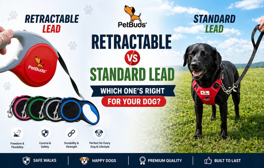 Retractable vs standard dog lead comparison showing a dog on a leash and PetBuds retractable lead for UK dog owners