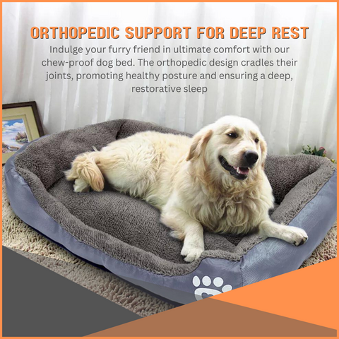 Chew-Proof Dog Bed | Indestructible, Chew-Resistant & Washable