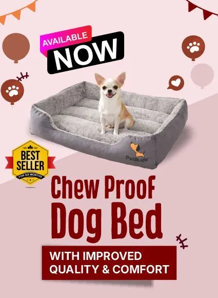 Chew-Proof-Dog-Bed-Available-Now-PetbudUK