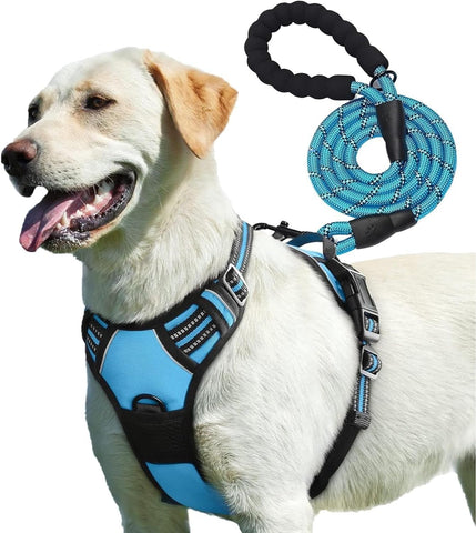 Adjustable No Pull Dog Harness with Padded Protection | Free 5ft Heavy Duty Dog Leash