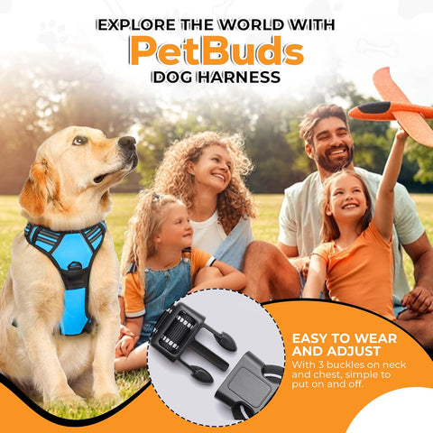 Adjustable No Pull Dog Harness with Padded Protection | Free 5ft Heavy Duty Dog Leash