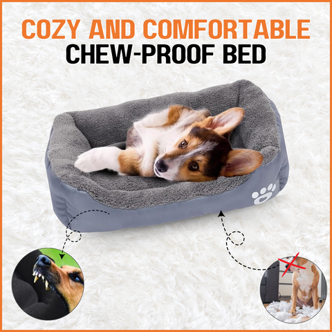 Cozy and Comfortable Chew Proof Bed
