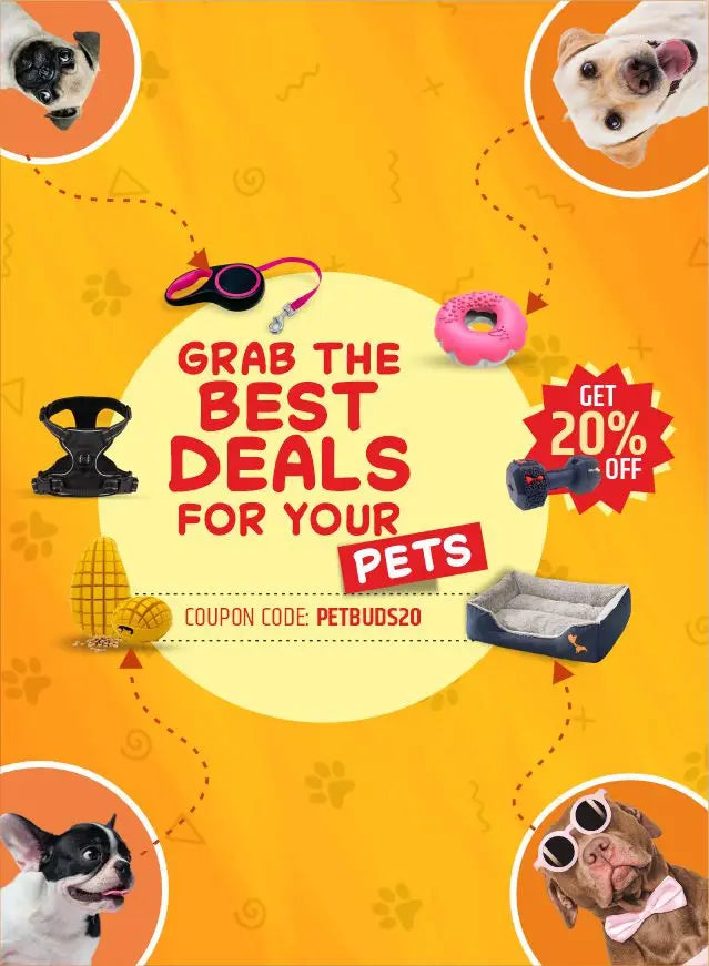 Best deals on dog accessories with 20% off at PetBuds UK including harness, toys and pet essentials-2