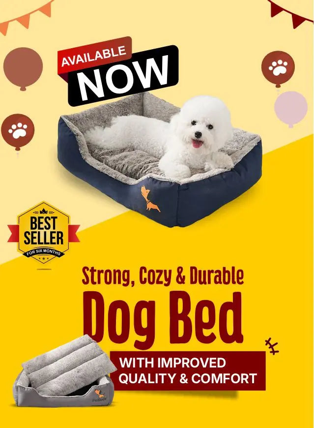 Strong, cozy and durable dog bed with improved comfort for dogs at PetBuds UK online pet shop-Mobile